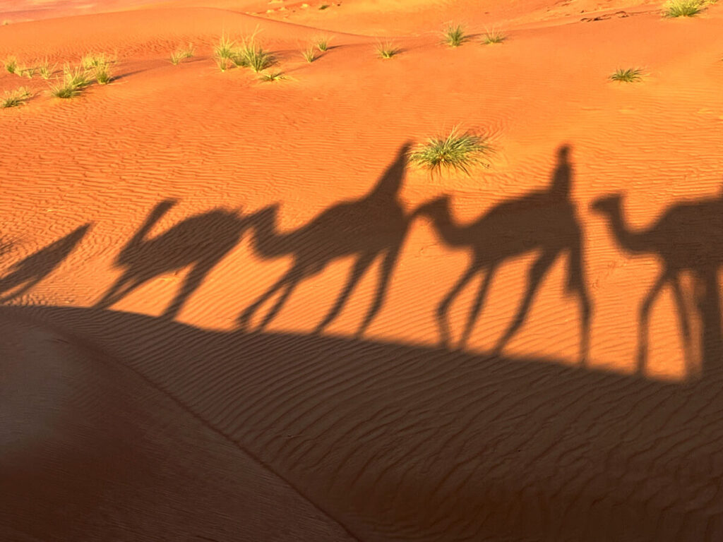 Schattenspiel beim Kamelausritt