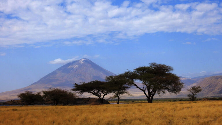 Landschaft in Tansania entlang des Großen Afrikanischen Grabenbruchs mit Akazien, dem Vulkan Ol Donyo Lengai und Natronsee