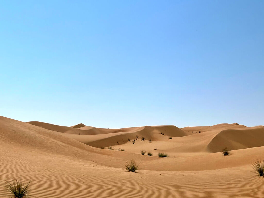 Unberührte, fragile Wüstenlandschaft