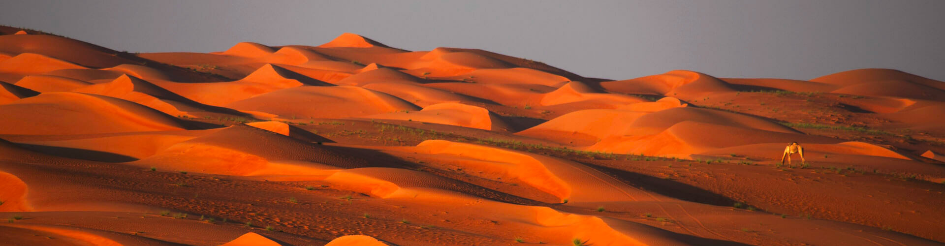 Rot leuchtende Wüste Wahiba Sands im Oman