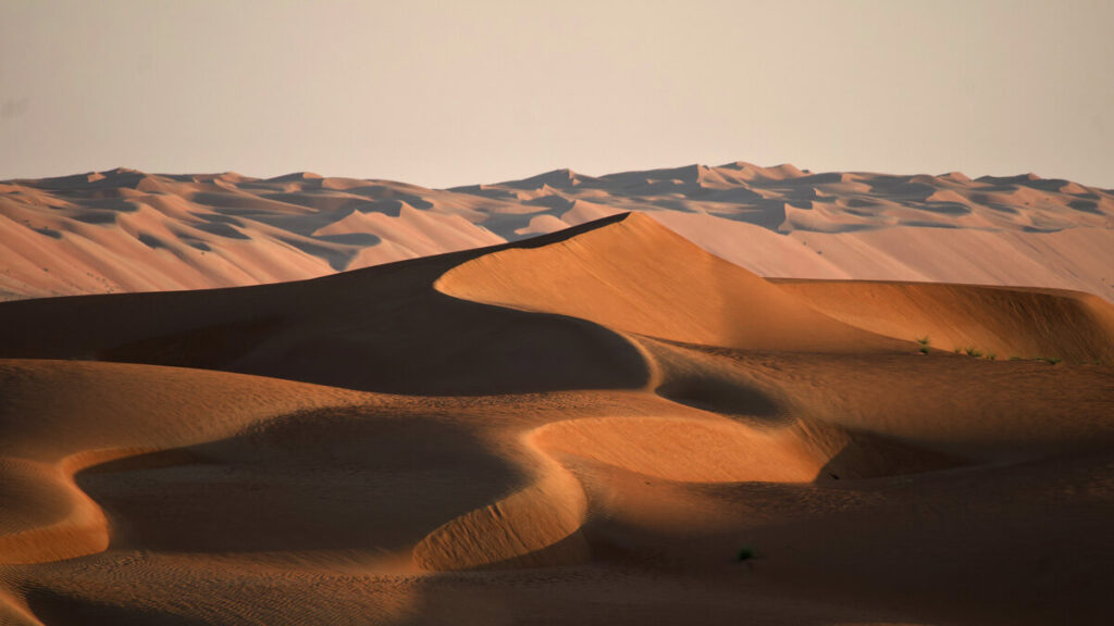 Abendlicht in der Wüste Wahiba Sands