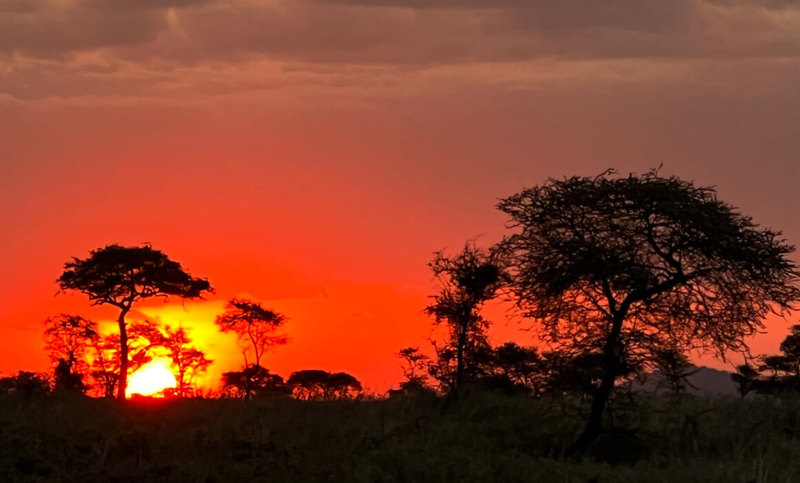Sonnenuntergang in der Serengeti in Tansania