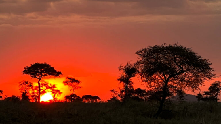 Sonnenuntergang in der Serengeti in Tansania