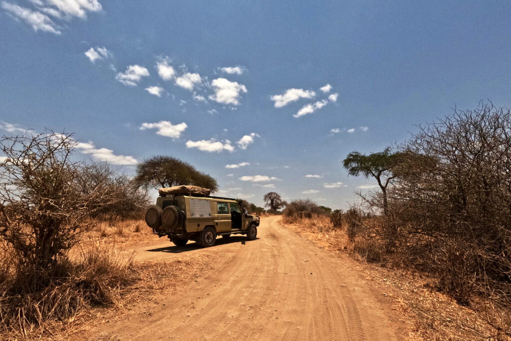 Tarangire nationalpark - bekannt für seine große Elefantenpopulation und uralte Baobab trees