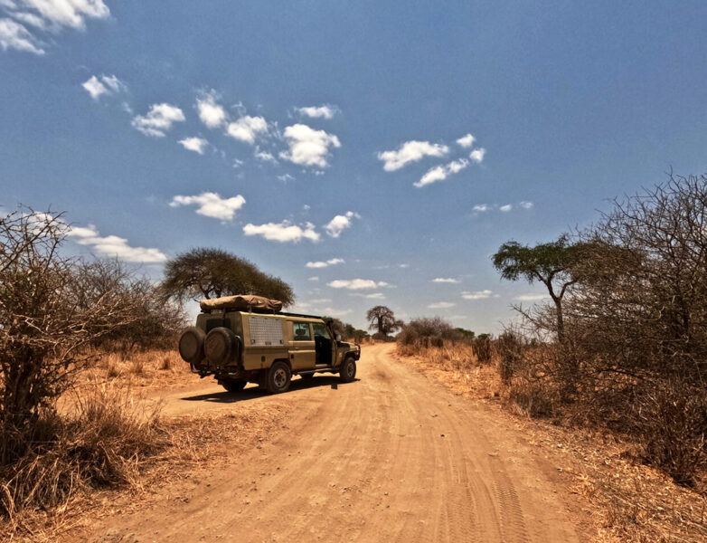 Tarangire nationalpark - bekannt für seine große Elefantenpopulation und uralte Baobab trees