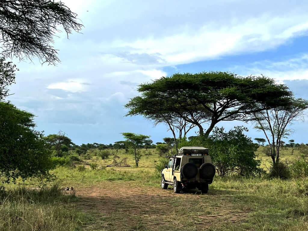 Unterwegs in der Serengeti