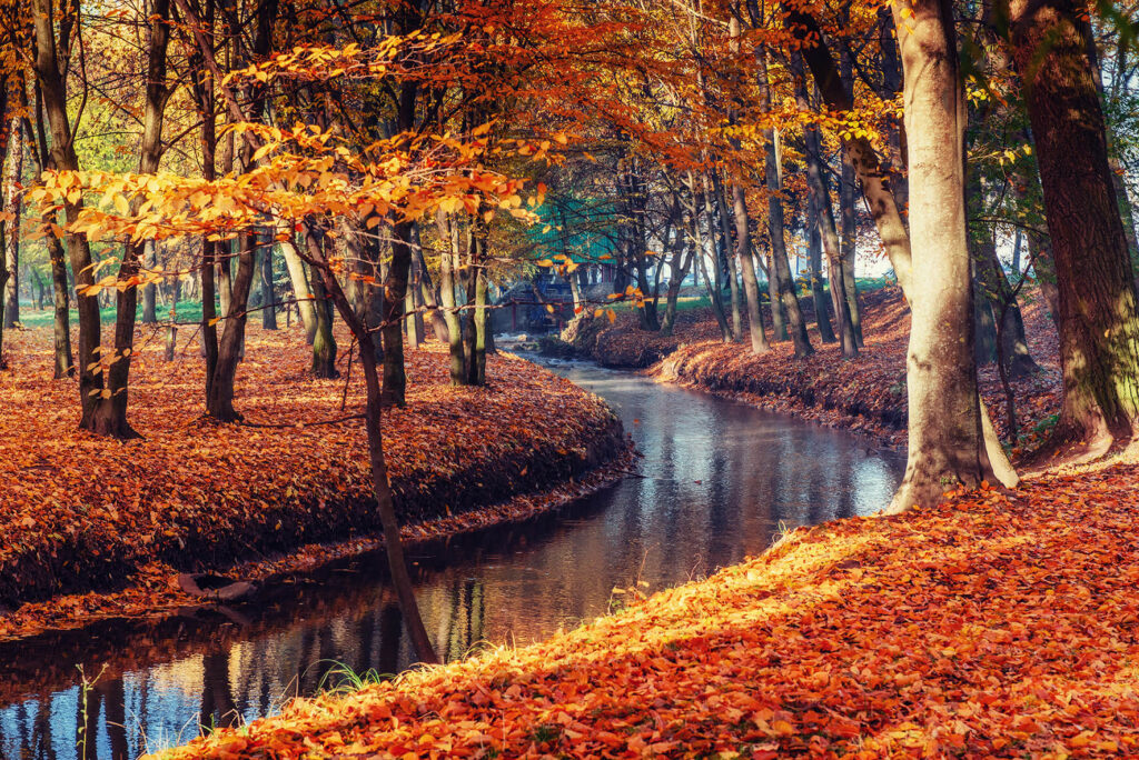 Herbststimmung an einem kleinen Fluss